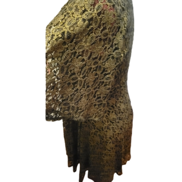 California Moonrise Lace Dress - Picture 3 of 7